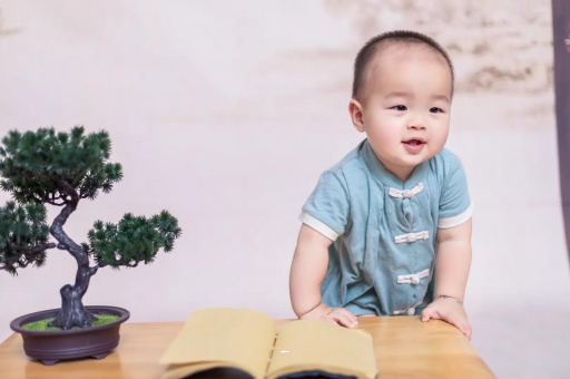 中国香港可爱的企鹅宝宝